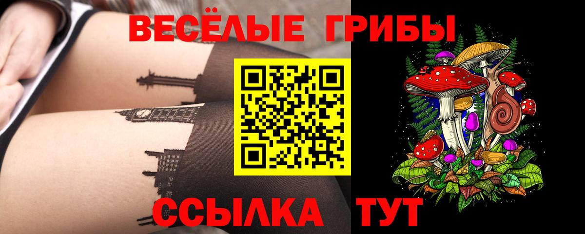 Псилоцибиновые грибы мухоморы Елабуга